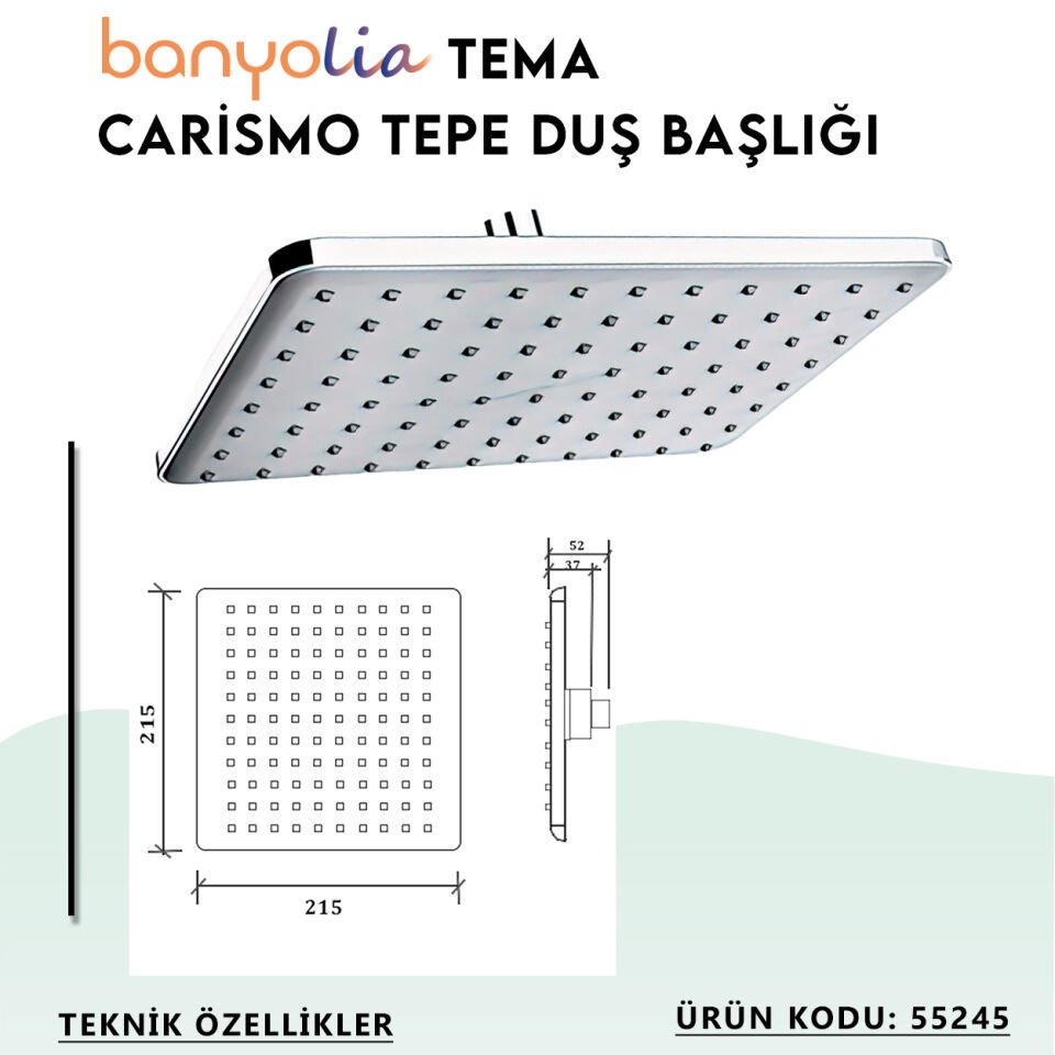 BANYOLİA - TEMA Carismo Tepe Duş Başlığı (55245)