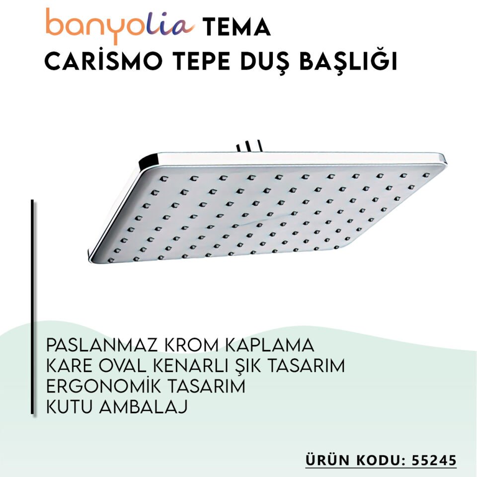 BANYOLİA - TEMA Carismo Tepe Duş Başlığı (55245)